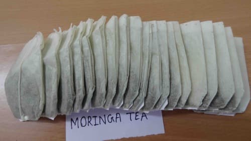 Moringa Tea Bags Exporters